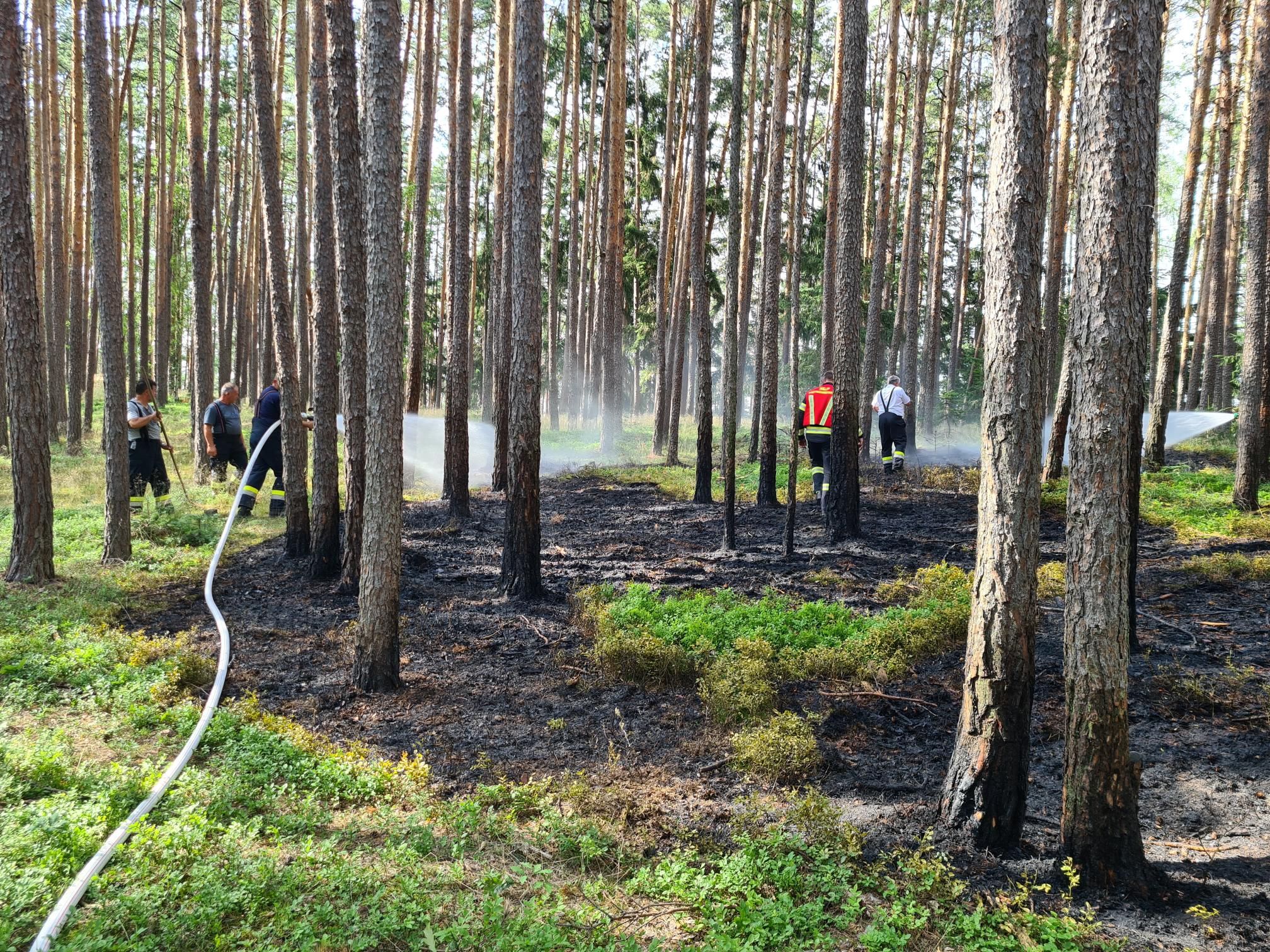 Die Feuerwehren im Einsatz.