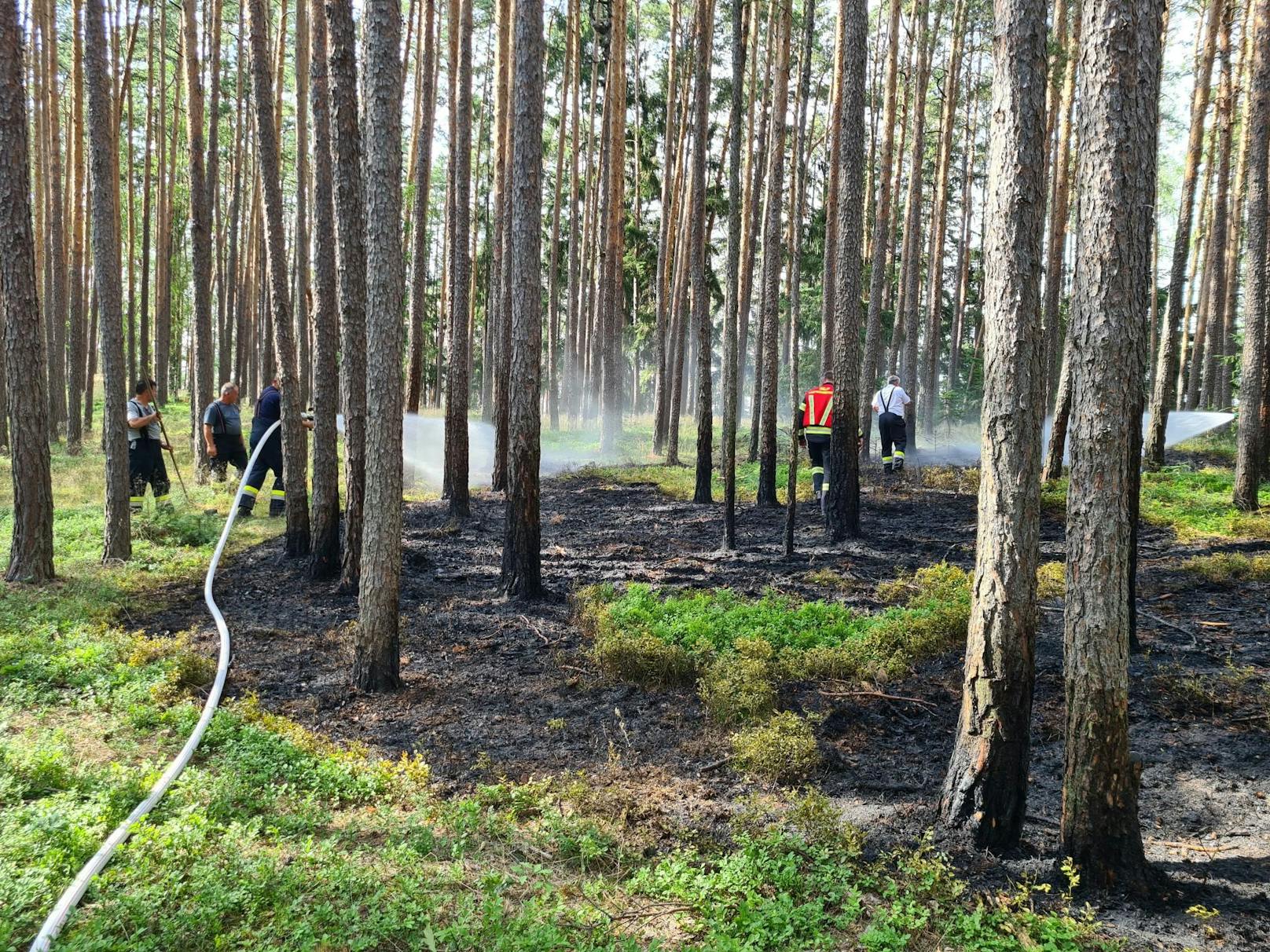 Die Feuerwehren im Einsatz.