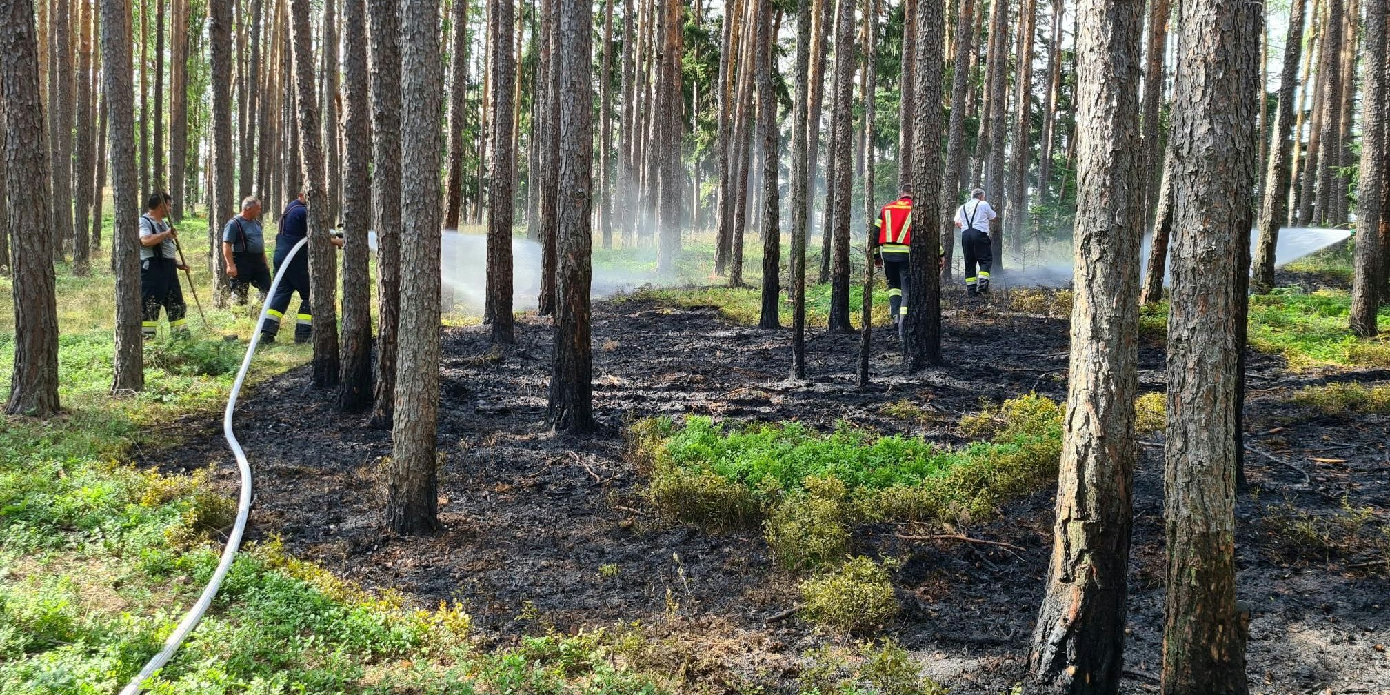 Die Feuerwehren im Einsatz.