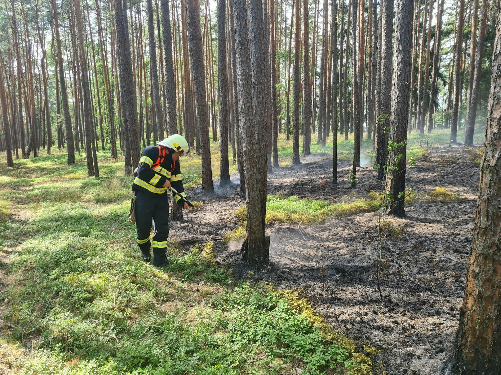 Die Feuerwehren im Einsatz.