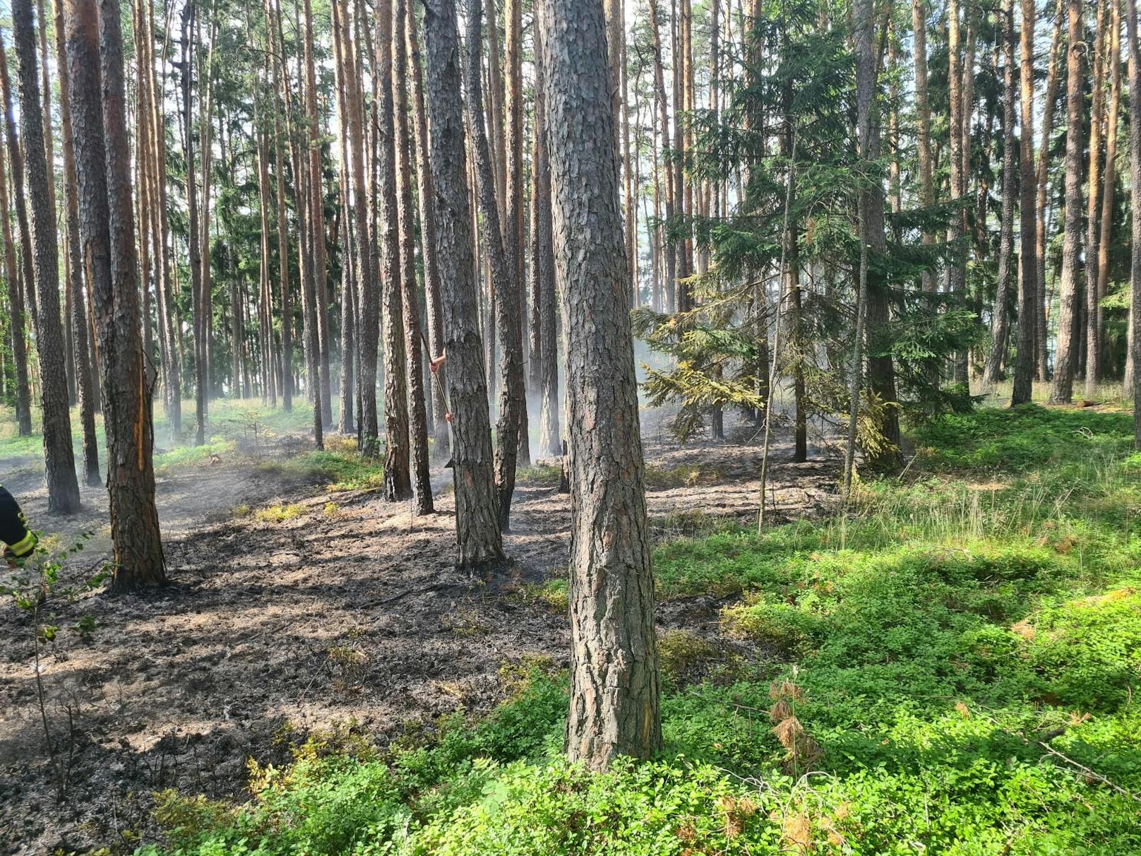 Die Feuerwehren im Einsatz.