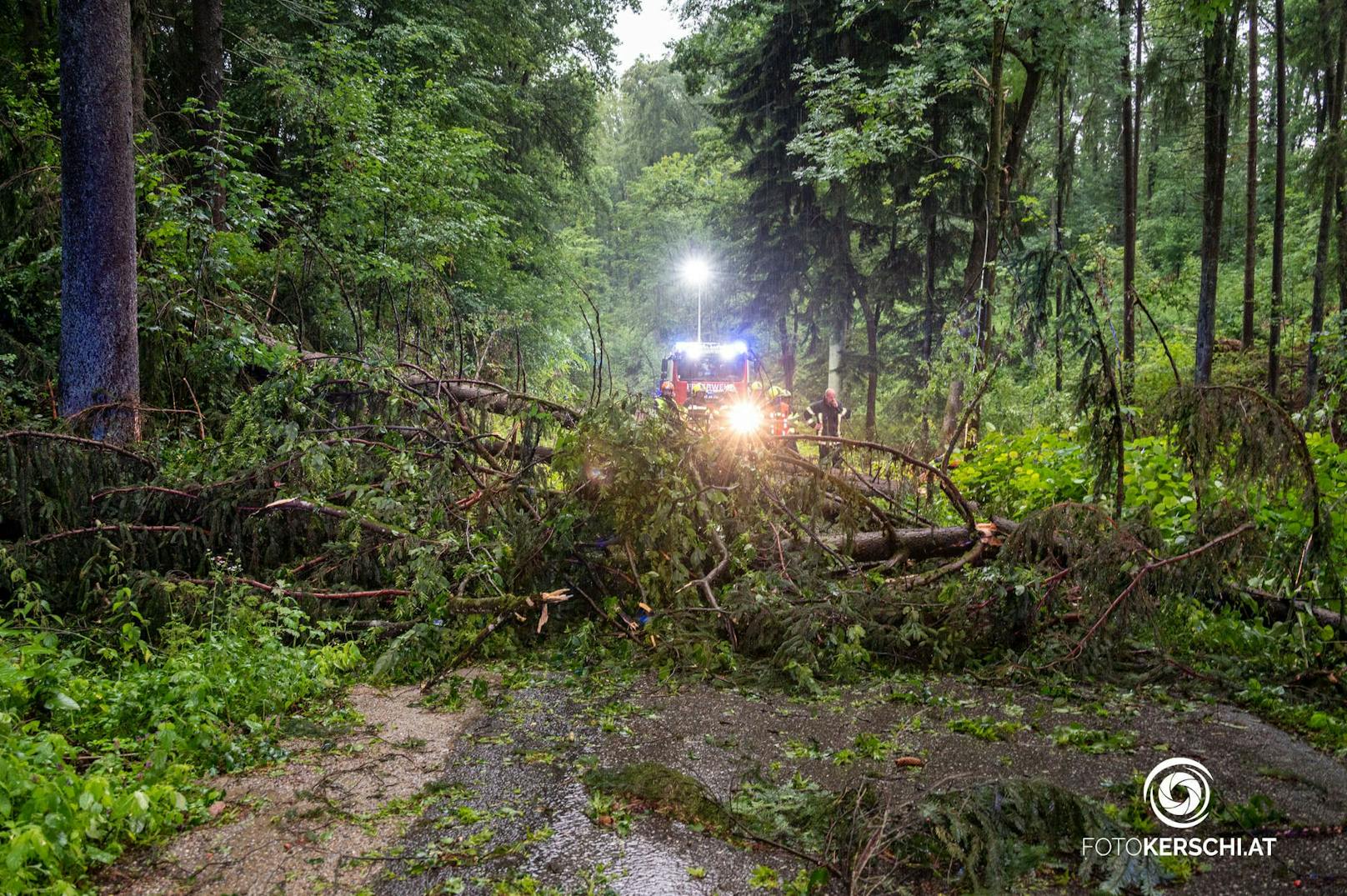 Erneut zogen am Mittwochabend wieder schwere Gewitter über das Land. Besonders betroffenen waren diesmal die Bezirke Perg und Freistadt im Mühlviertel.