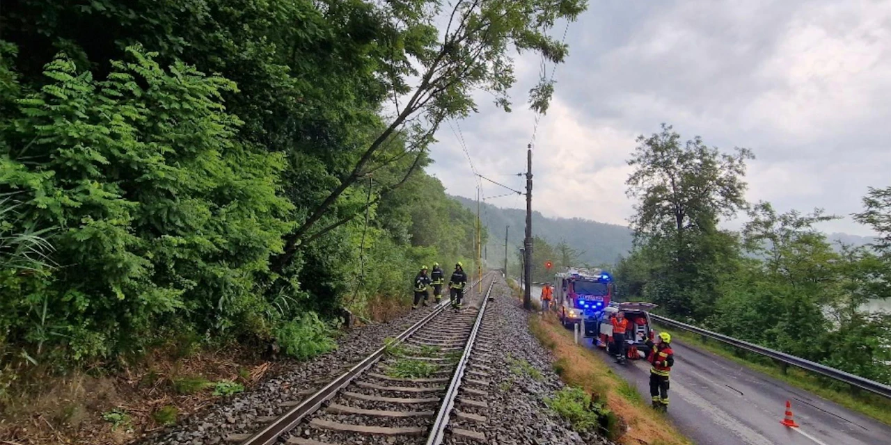 Niederösterreich Baum stürzte auf Oberleitung Bahnstrecke war gesperrt Heute.at
