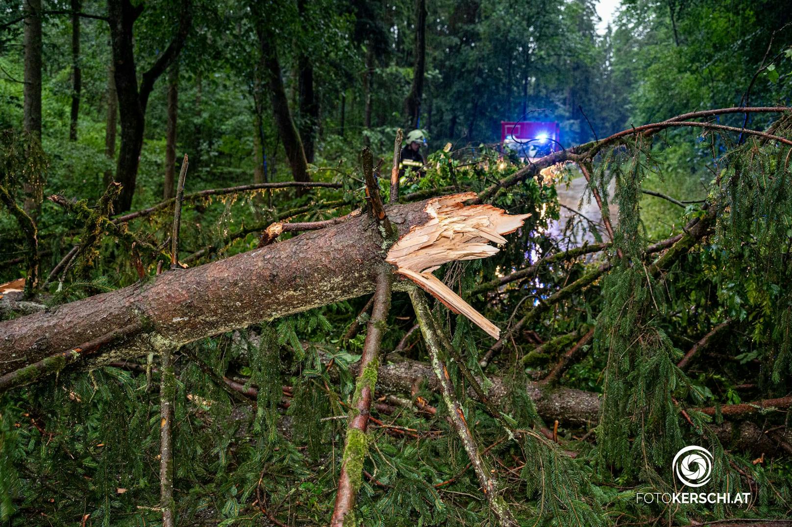 Erneut zogen am Mittwochabend wieder schwere Gewitter über das Land. Besonders betroffenen waren diesmal die Bezirke Perg und Freistadt im Mühlviertel.