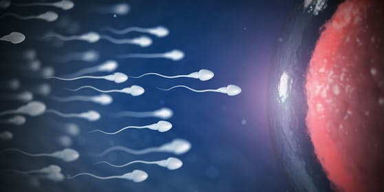 Während aktiver Infektion sollte man auf jeglichen Sexualkontakt verzichten. Sind die Bläschen bereits am Abheilen, sollten noch weitere drei Wochen Kondome verwendet werden.