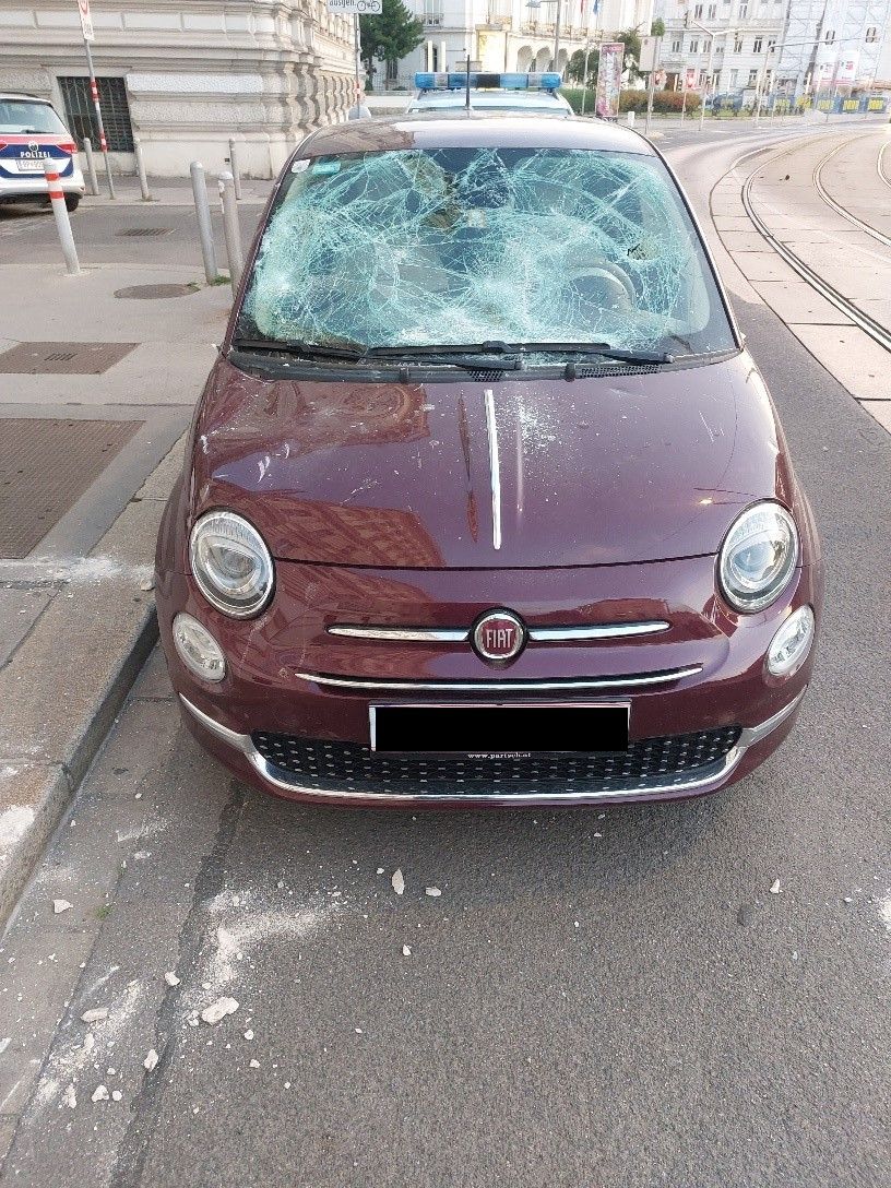 Mit 1,6 Promille Alkohol im Blut und einem Schirmständer beschädigte der Tatverdächtige den Wagen.