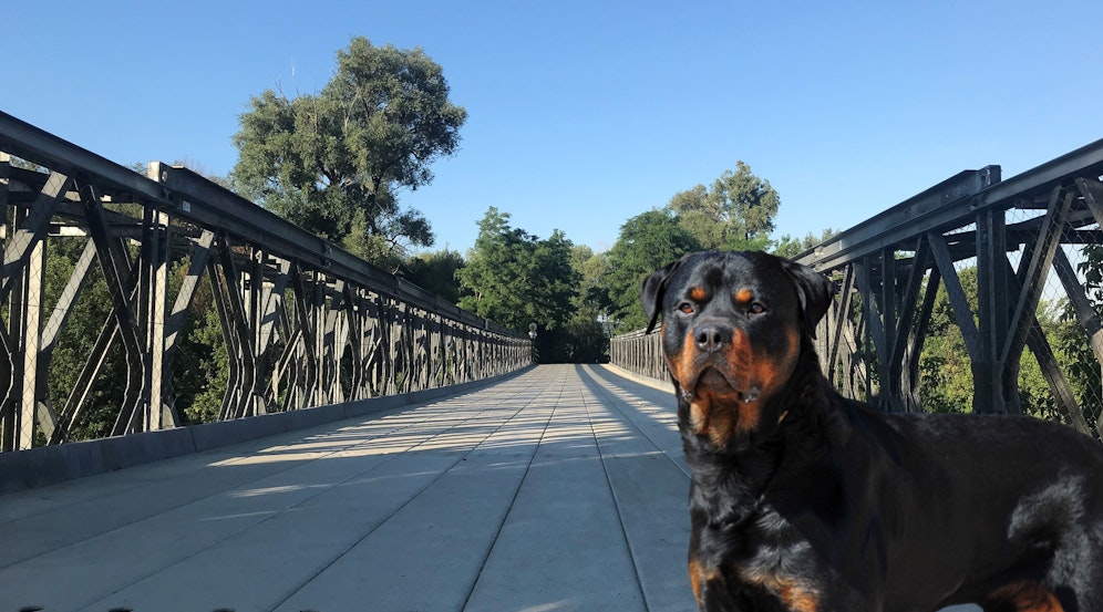 In der Nähe der Pionierbrücke (am Foto) fand der Vorfall statt.