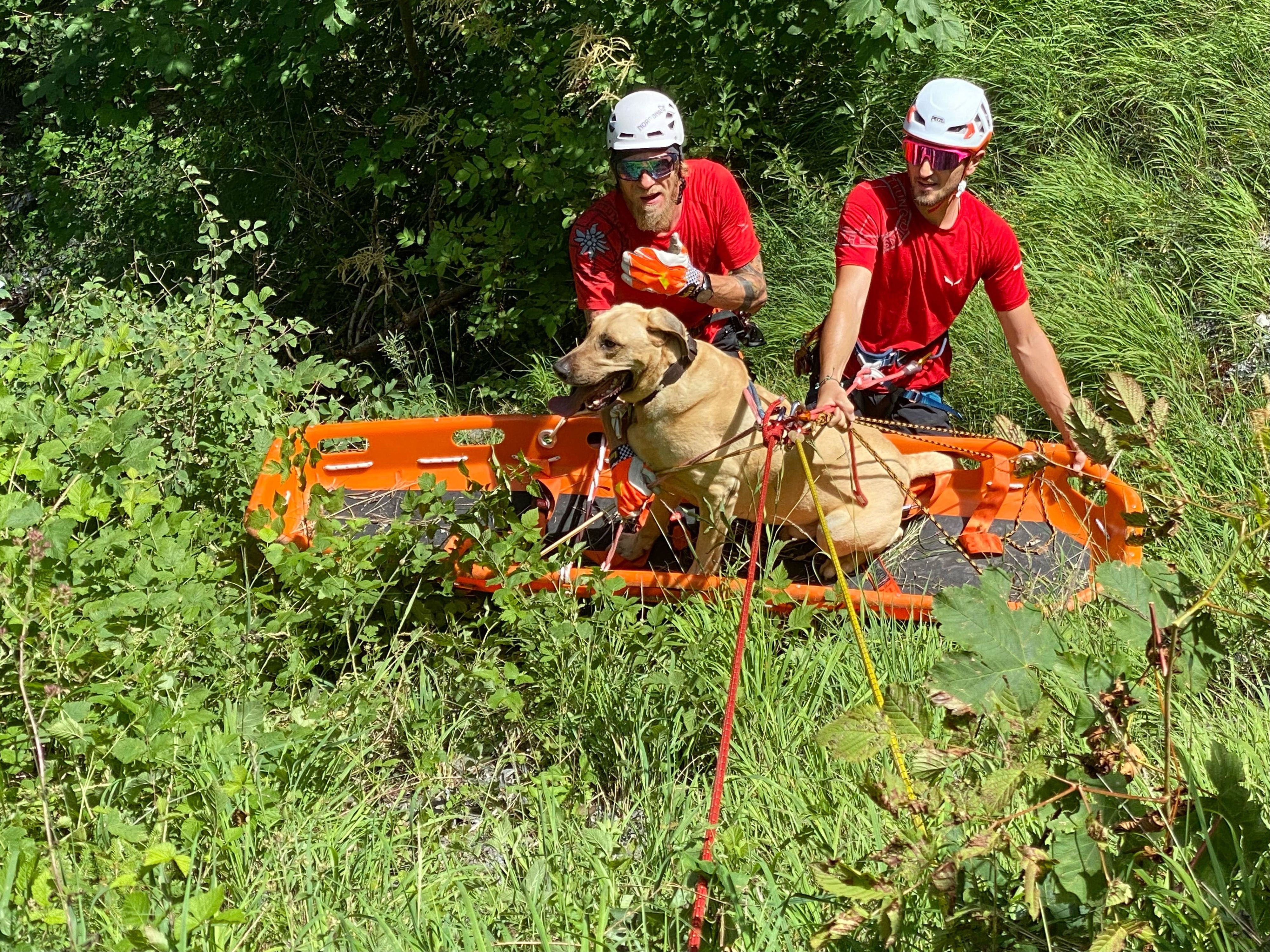 Bergrettung Mayrhofen rettet abgestürzten Hund 