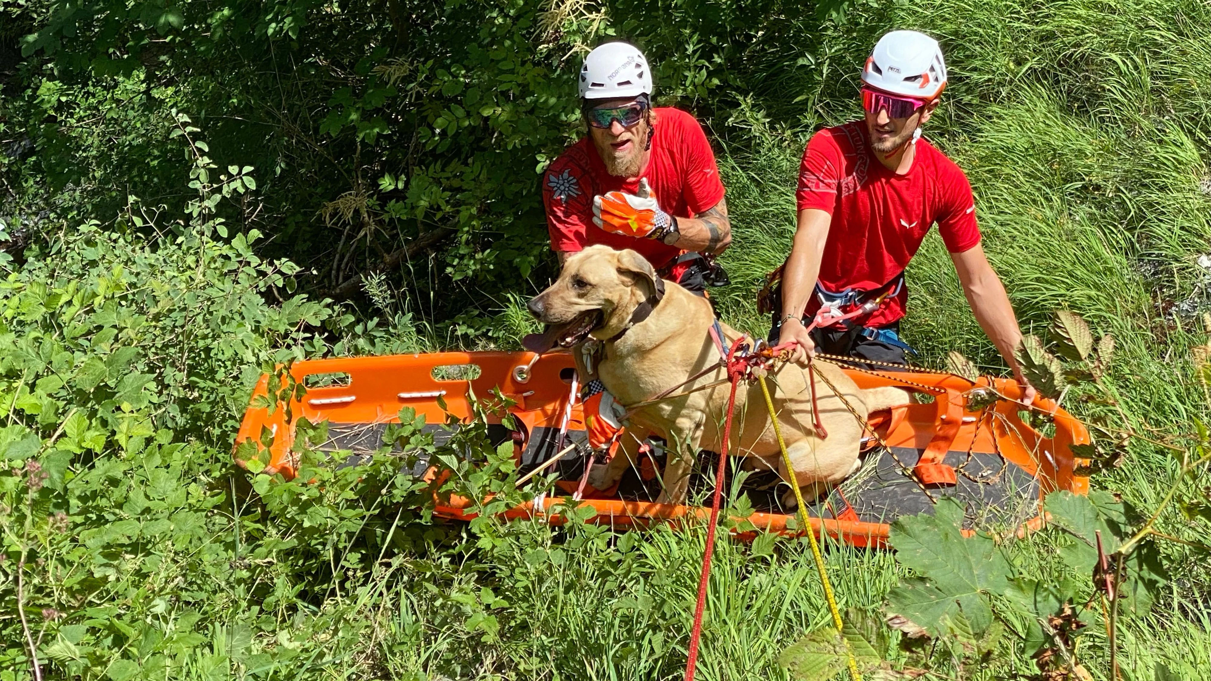 Bergrettung Mayrhofen rettet abgestürzten Hund -Fotocredit: ZOOM.TIROL 