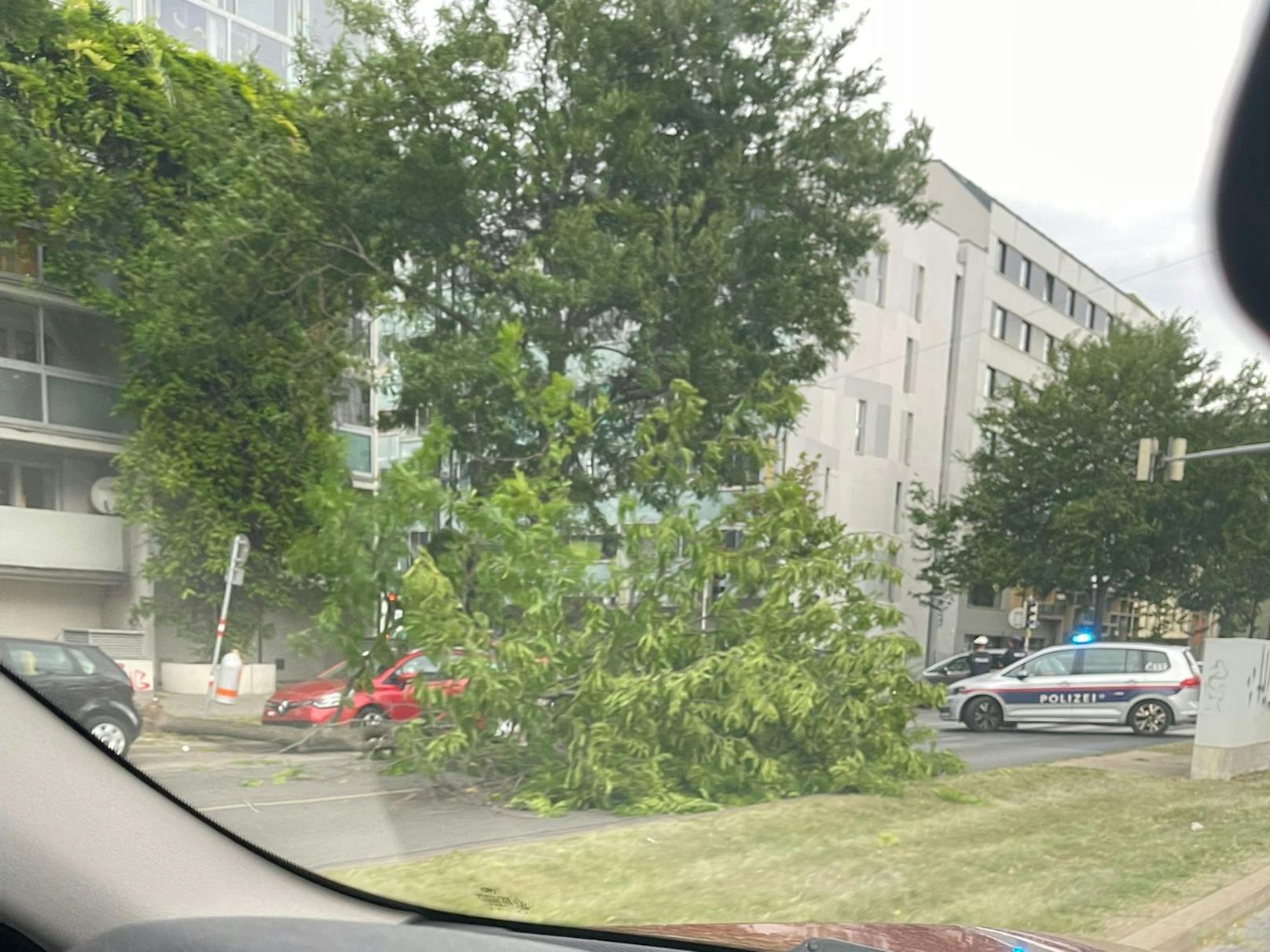 Die Adalbert-Stifter-Straße ist durch einen umgeknickten Baum blockiert.