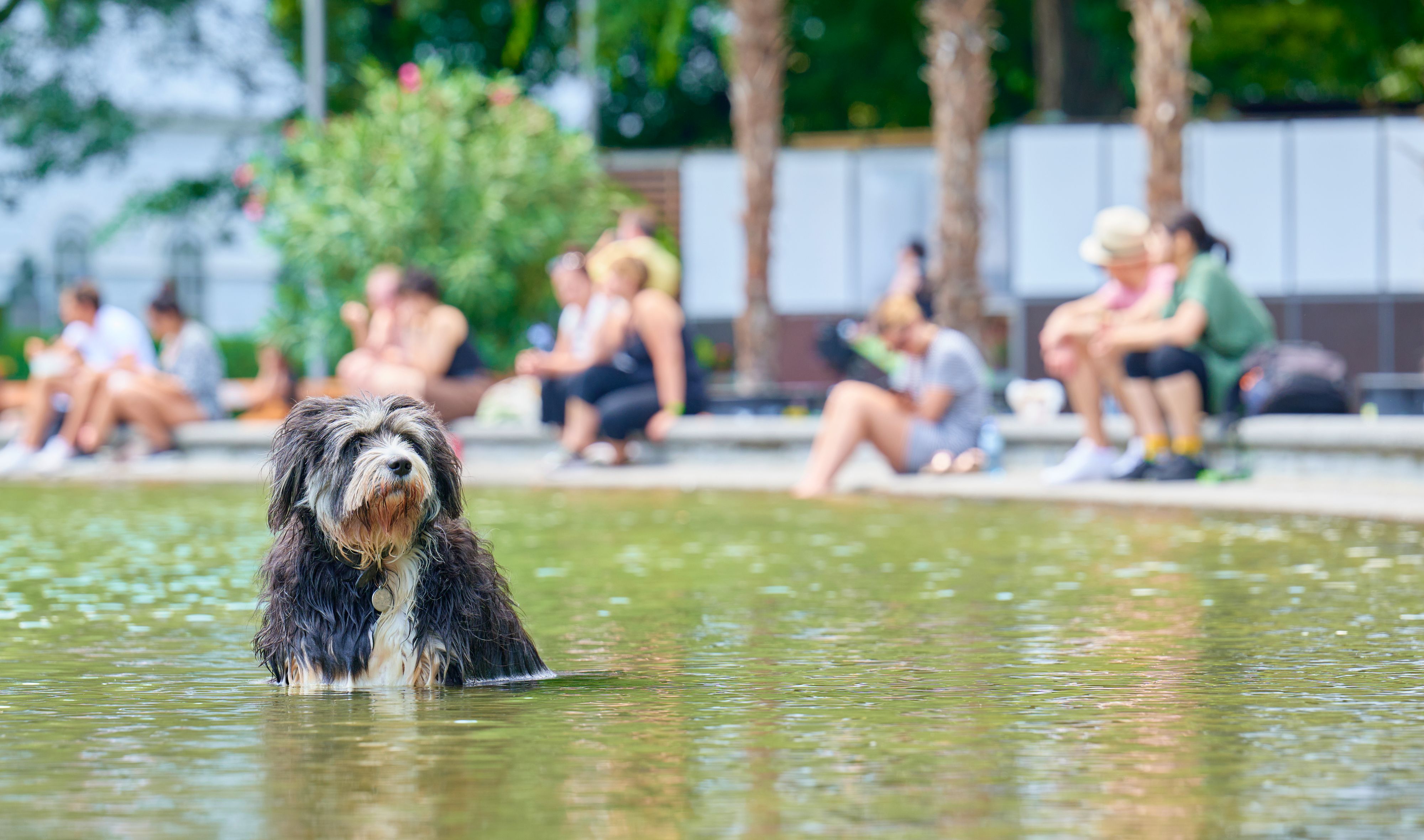 In Österreich startet am Samstag gleich die nächste Hitzewelle des Jahres.