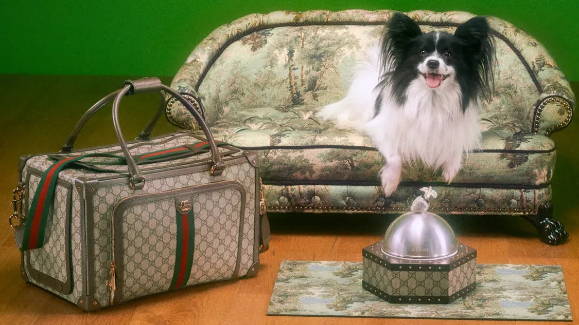Bei Gucci gibt es nichts, was es nicht gibt. Sogar für Hunde. Ob das reicht oder nicht gar zu viel ist? Die Kunden hat es heuer weniger beeindruckt als sonst. Das zeigt zumindest der Umsatz.
