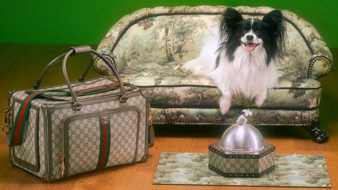 Von der Tragetasche zum Minisofa, diese Luxusgüter für Vierbeiner verkauft die Marke Gucci jetzt.