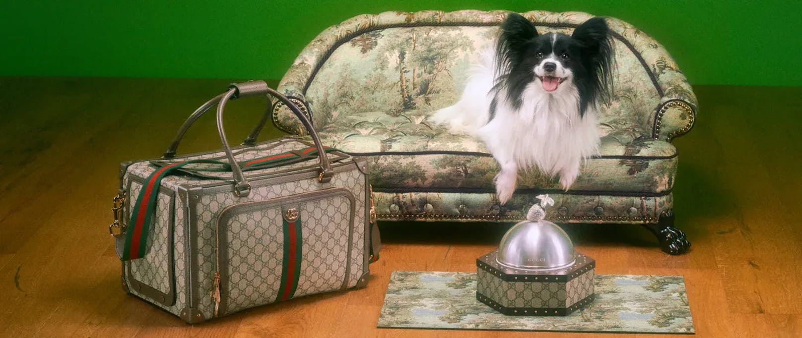 Mode für "kecke Diven": Gucci zieht Hund & Katz an