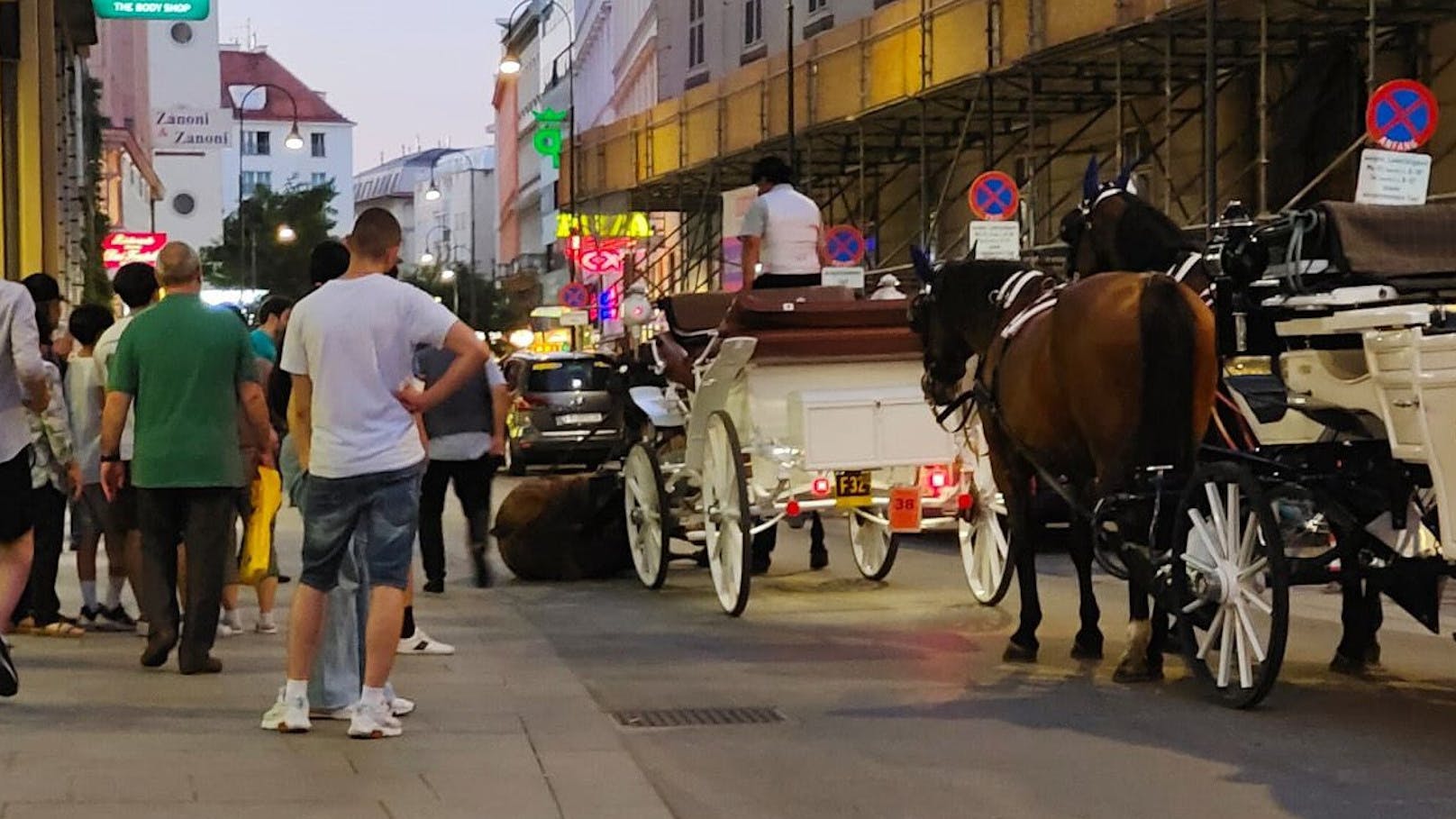 Ein Fiaker-Pferd brach in der Wiener Innenstadt zusammen.