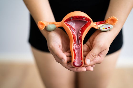 Verzweifelte Frauen riskieren ihr Leben, um eine ungewollte Schwangerschaft zu beenden.&nbsp;