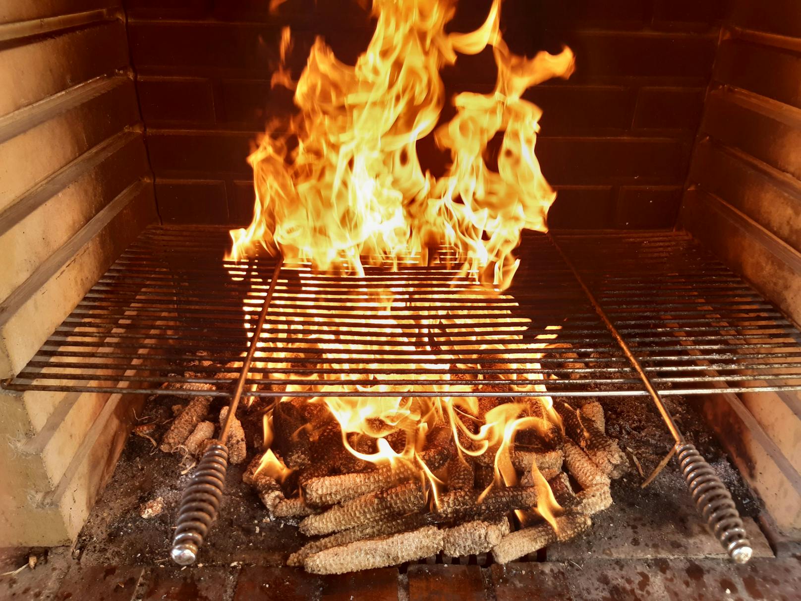 Holzkohle grillt unser Klima, wäre Mais Alternative?