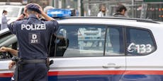 Brutale Gewalttaten in Wien – Täter auf der Flucht