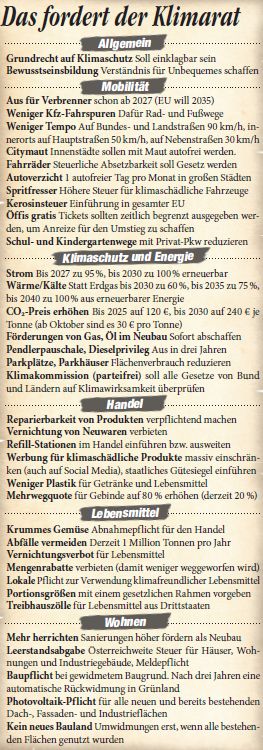 Das fordert der Klimarat