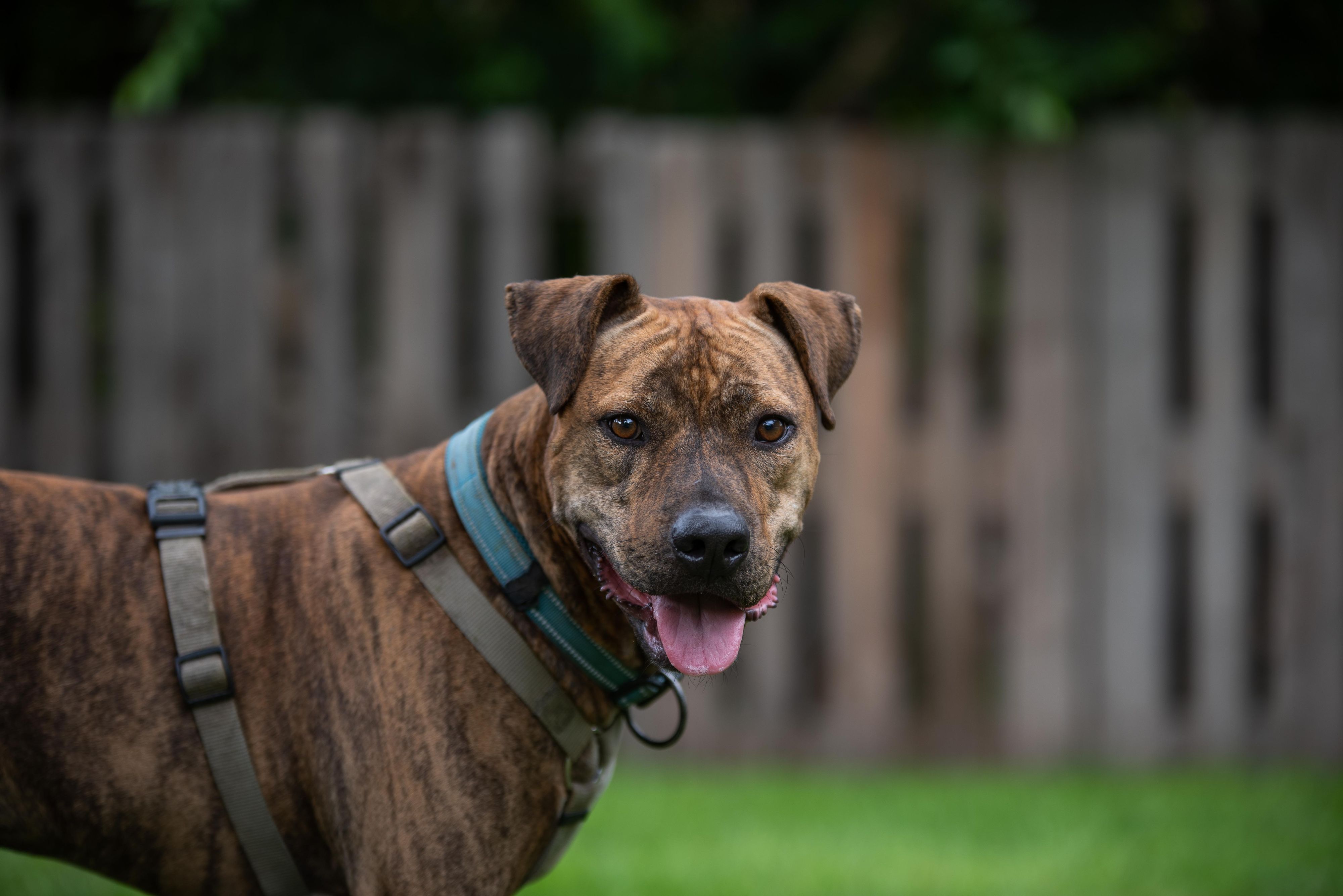 "Butch" leidet an einer schweren Krankheit.