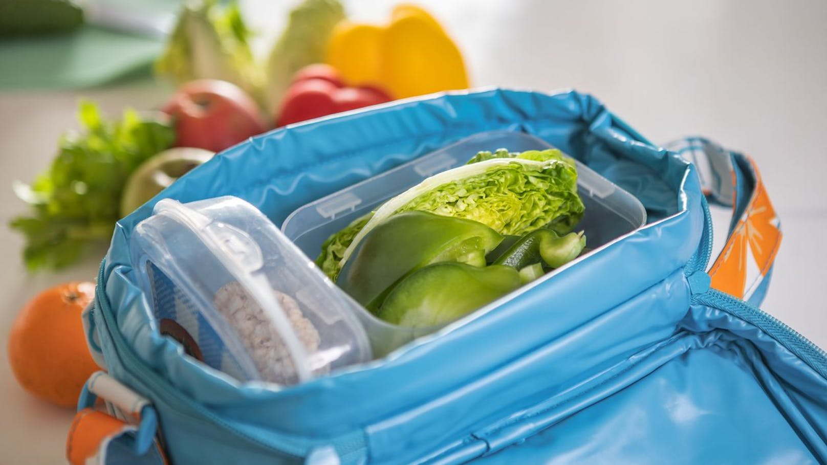 Wenn du einen langen Transportweg hast, kann es passieren, dass das lange Herumstehen in der Sonne dein Essen ungenießbar macht. Eine handliche Kühltasche wäre deine Rettung. Diese kannst du überall mitnehmen, um etwa Fisch, Fleisch oder Milchprodukte vor der Hitze zu schützen.