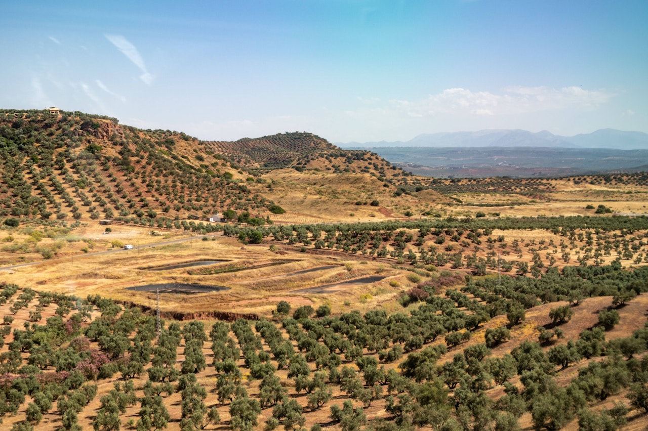 Heute.at - Spanien, Portugal so trocken wie seit 1.000 Jahren nicht