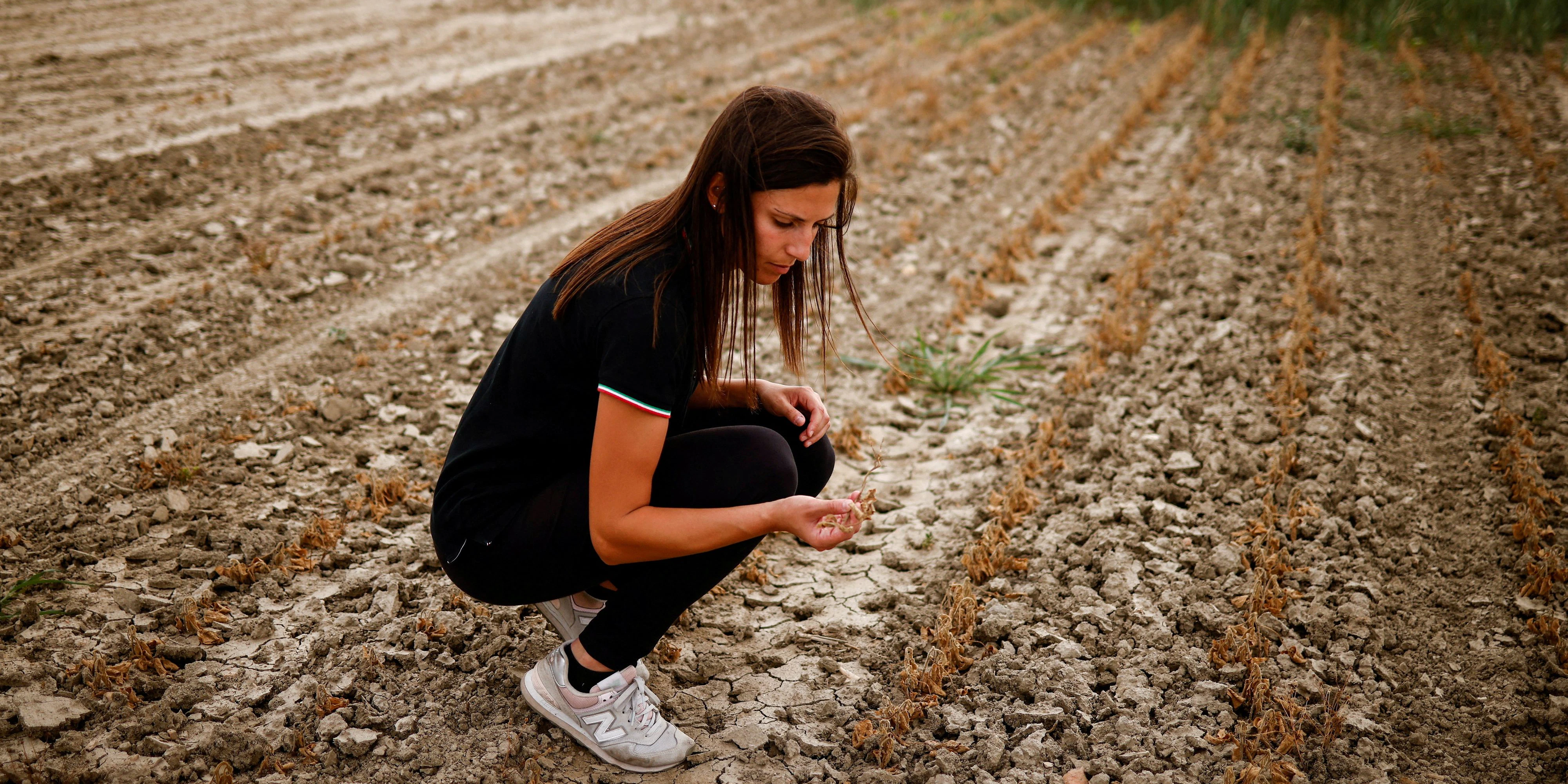 FILE PHOTO: Agricultural entrepreneur Federica Vidali, 29, checks her damaged soy plant, affected by salty seawater flowing into drought-hit River Po in Porto Tolle, Italy June 23, 2022. Picture taken 23, 2022. REUTERS/Guglielmo Mangiapane/File Photo