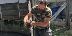 Ente nach über drei Wochen aus Güllegrube gerettet