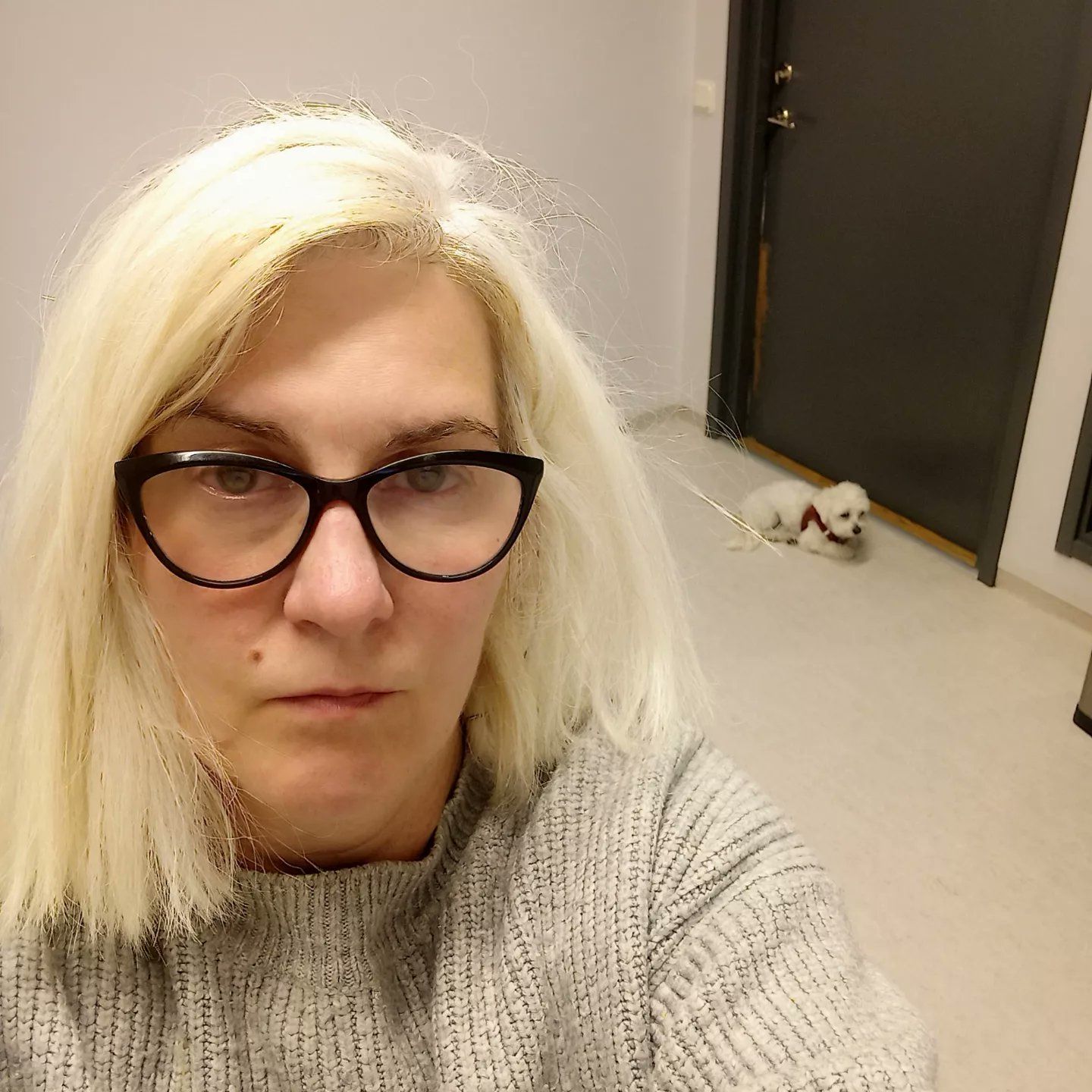 Patrice Therese Fuchs hofft auf einen Tierfreund mit einem Ticket nach Wien.