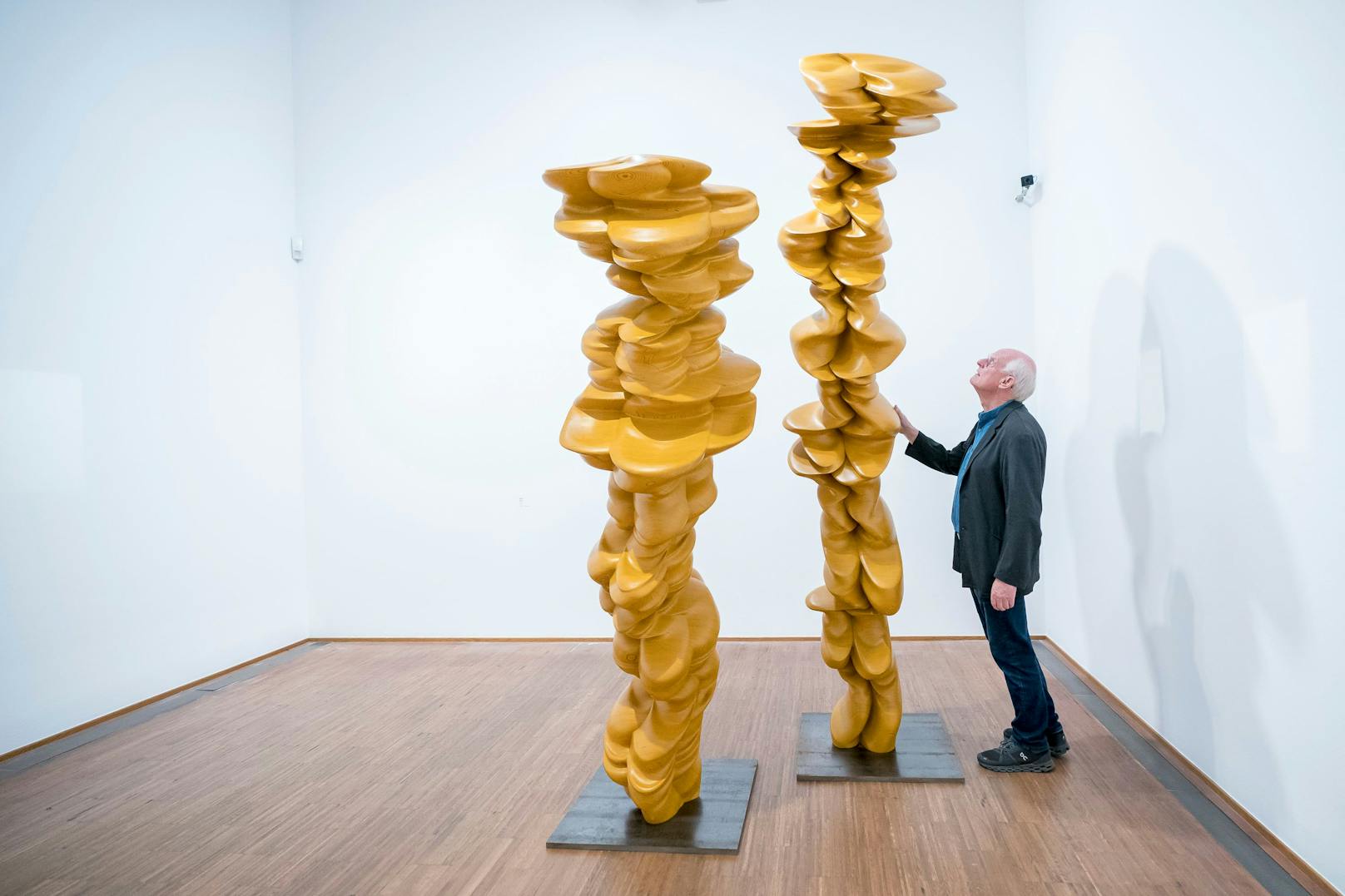 Künstler Tony Cragg mit seiner Skulptur "Paar", 2015, Holz
