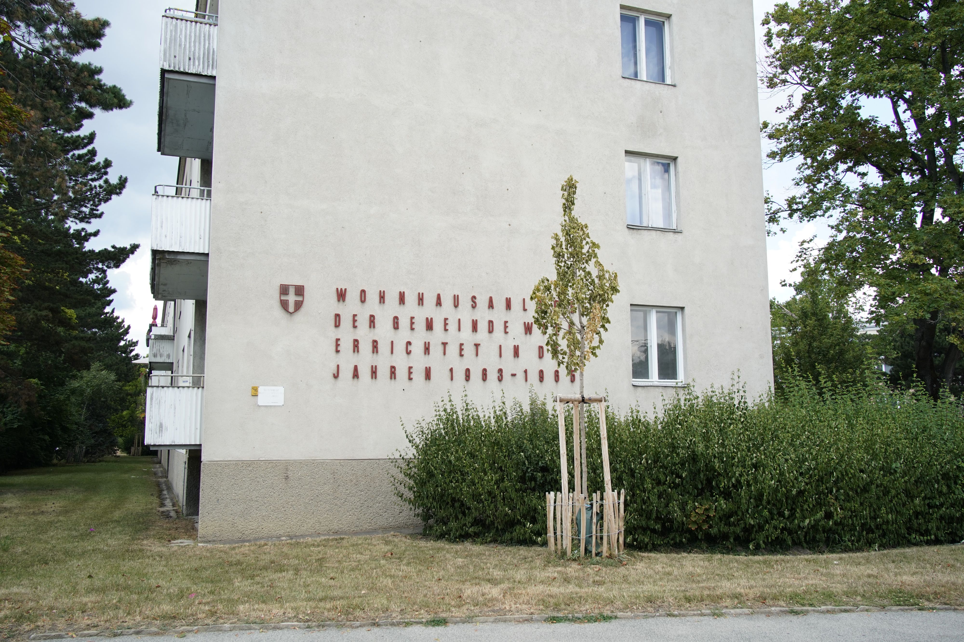 Bäume in den Gemeindebau-Anlagen sehen oft trist aus.