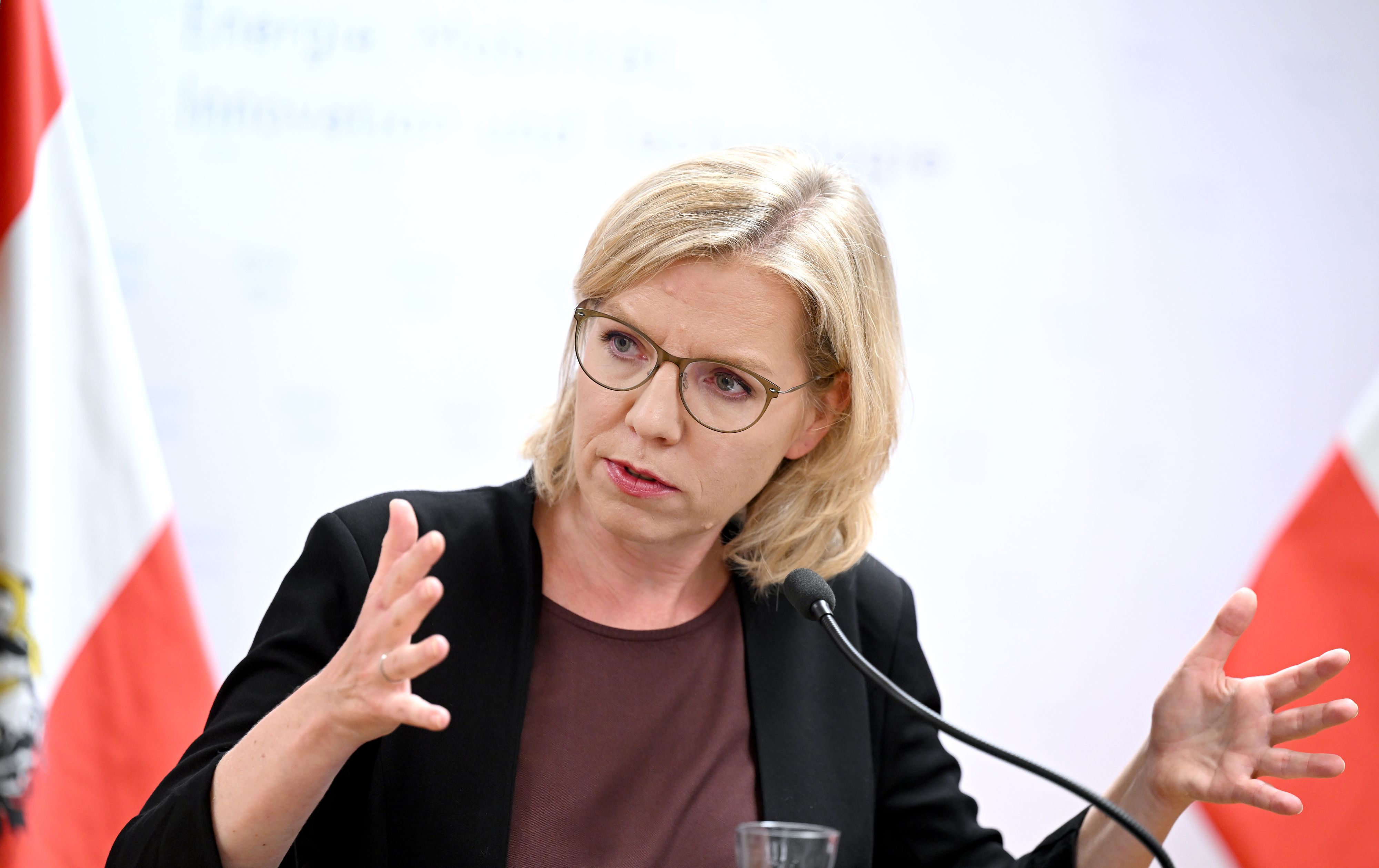 Energieministerin Leonore Gewessler erklärte am Mittwoch den Grund für die Energie-Maßnahmen.&nbsp;