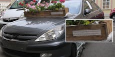 Wiener verschönert Abschlepp-Peugeot mit Blumen-Message