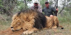 Riaan Naude schoss auf Löwen – jetzt wurde er getötet