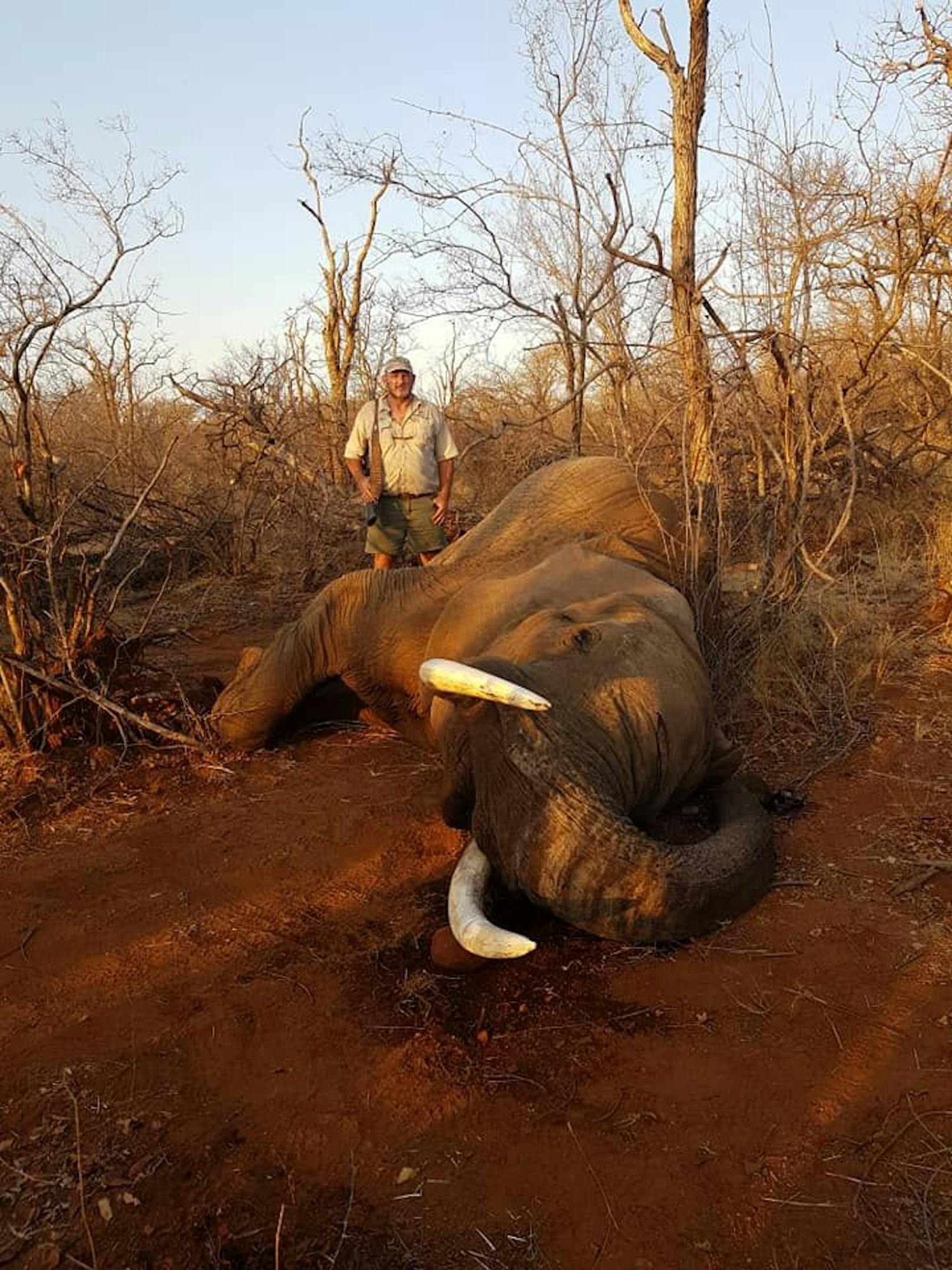 Riaan Naude bot mit&nbsp;"Pro Hunt Africa" Jagdexpeditionen in der Nähe des Krüger-Nationalparks an.