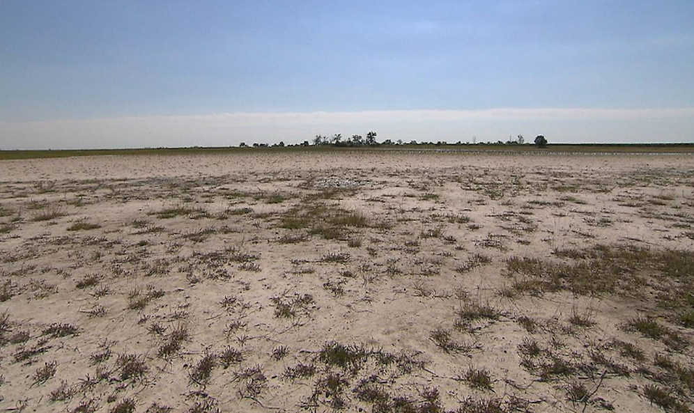 Die Lange Lacke ist derzeit komplett trocken.