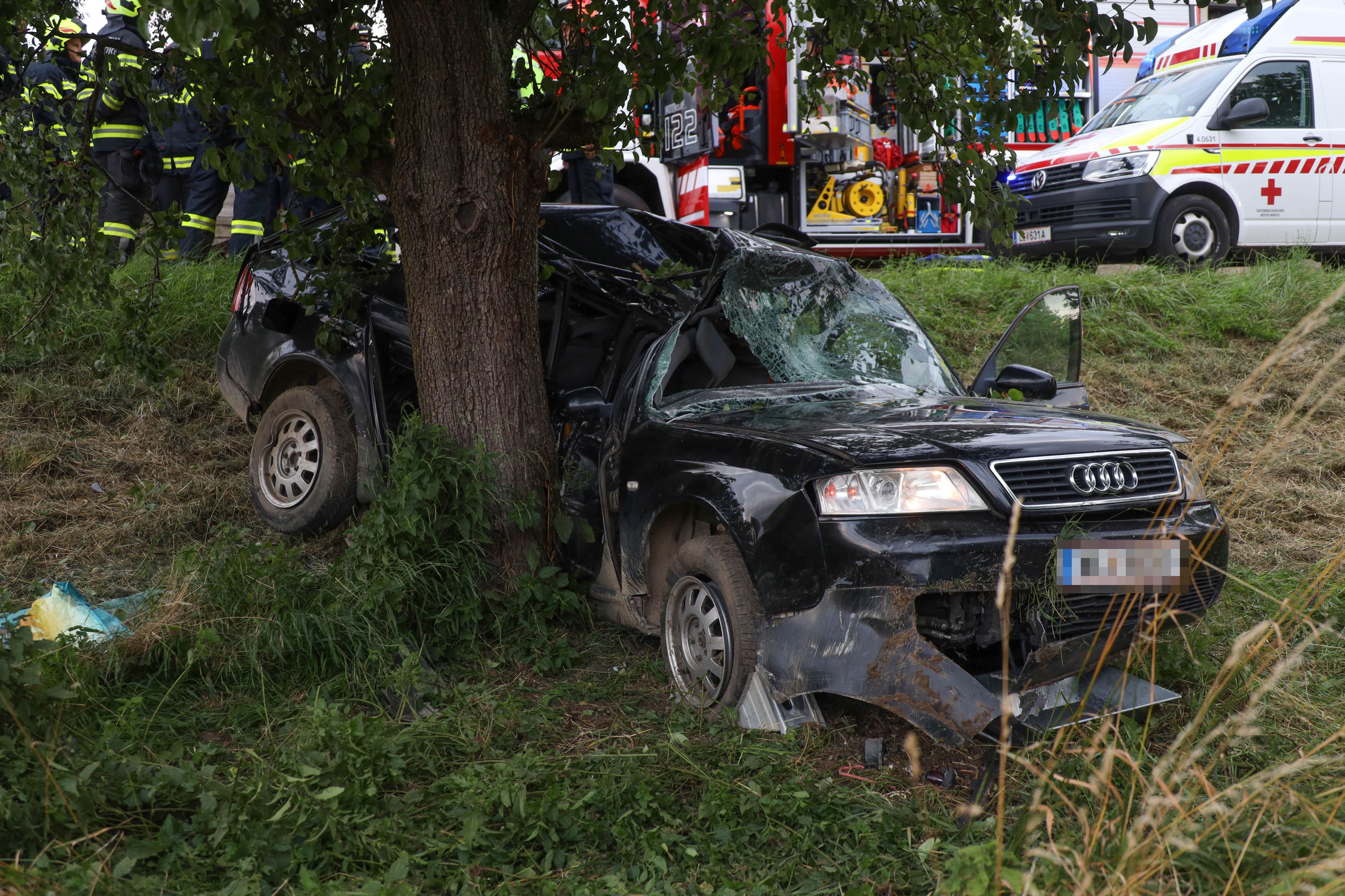 In Eggendorf krachte ein Lenker gegen einen Obstbaum und starb.