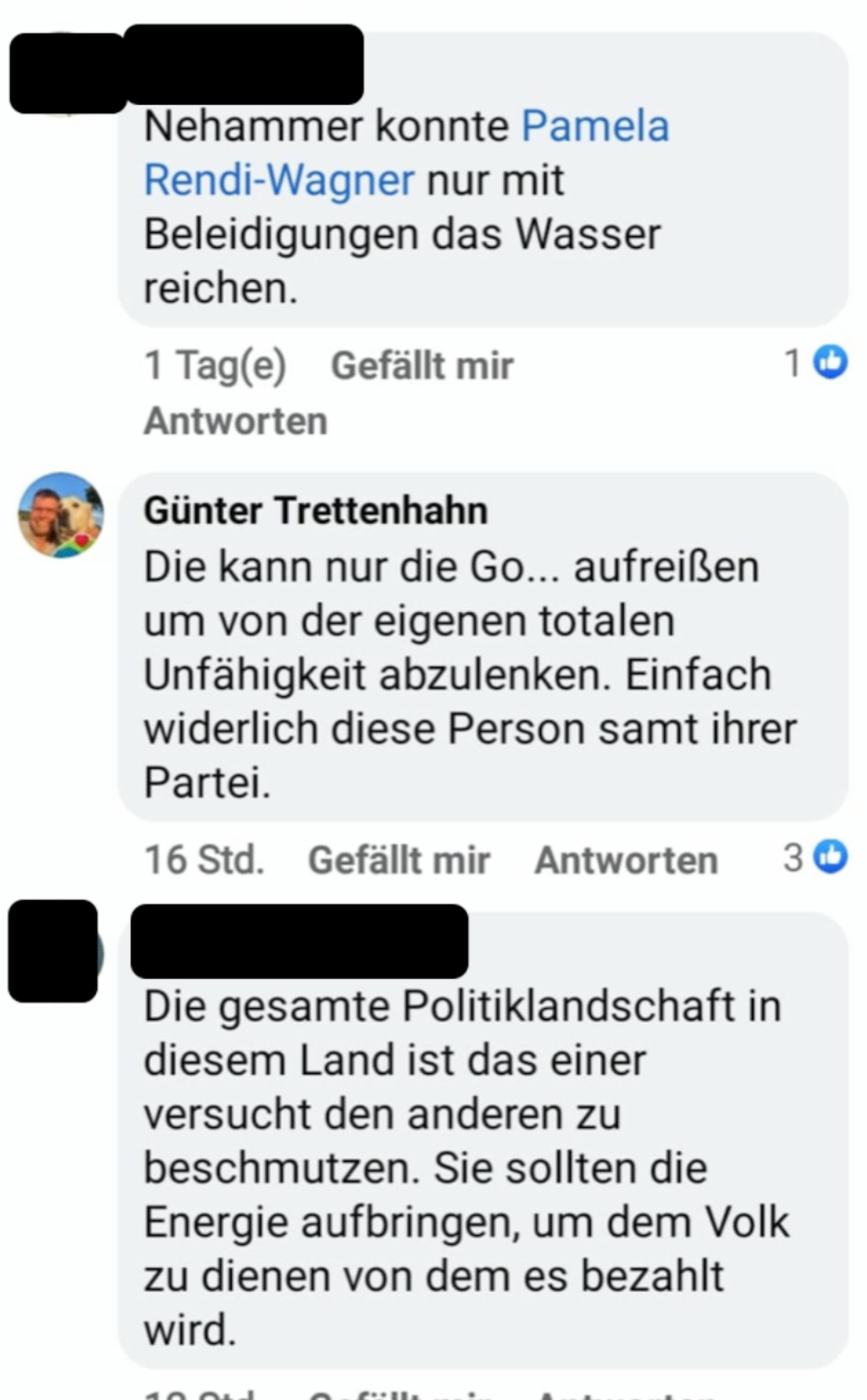Facebook-Posting gegen Rendi-Wagner