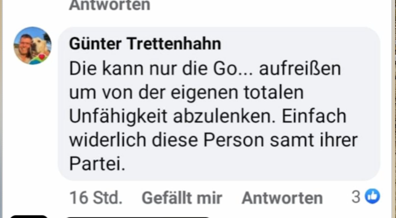 Facebook-Posting gegen Rendi-Wagner