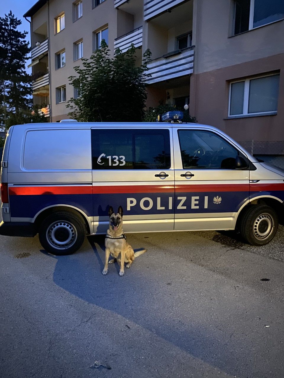 Diensthund Abby stellte den Einbrecher.