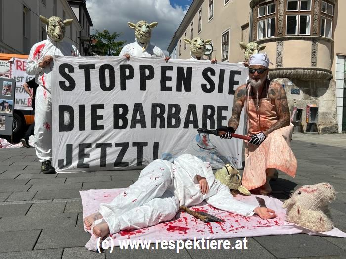 Verein protestiert gegen Schächten in NÖ