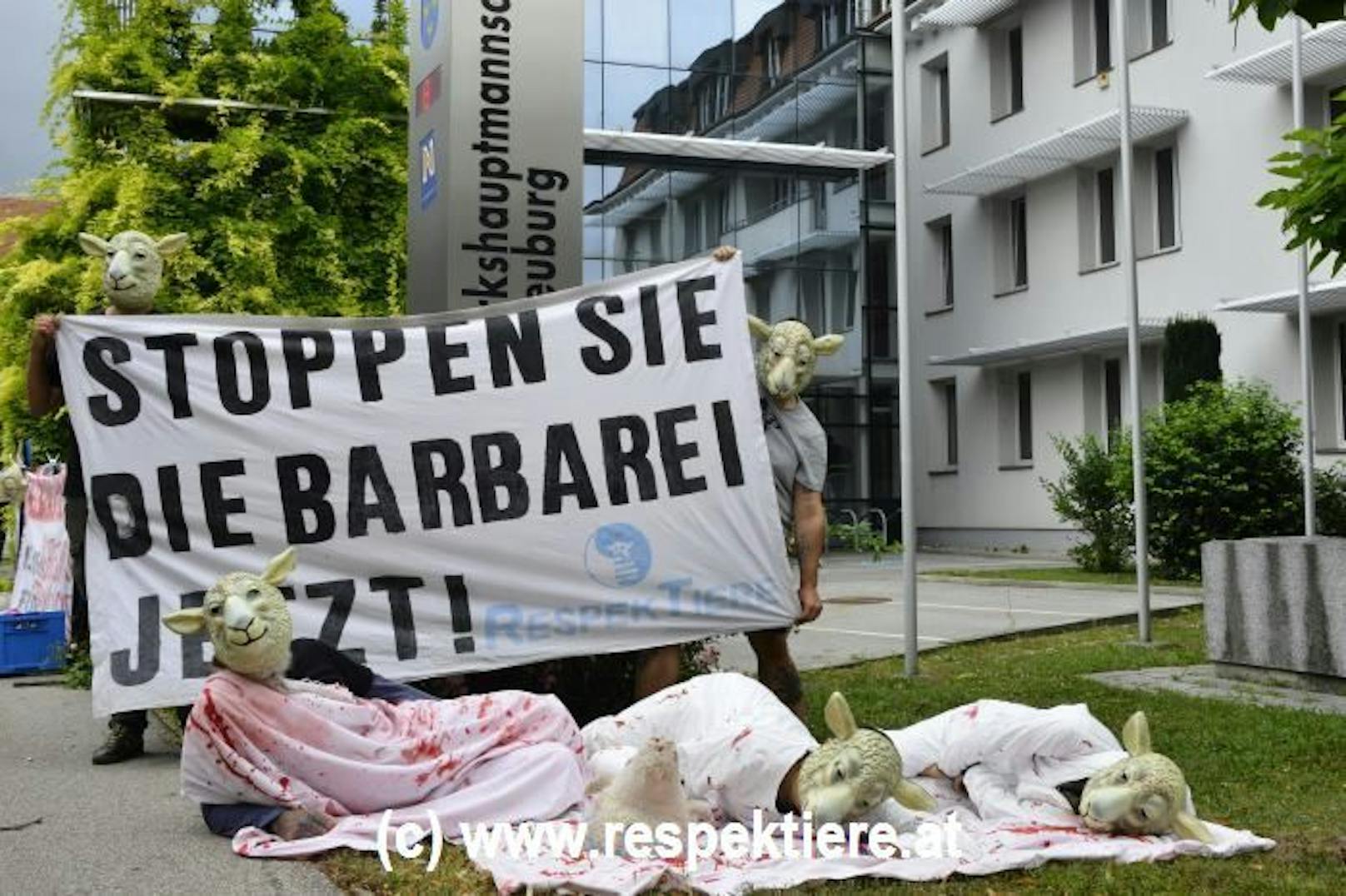 Verein protestiert gegen Schächten in NÖ.
