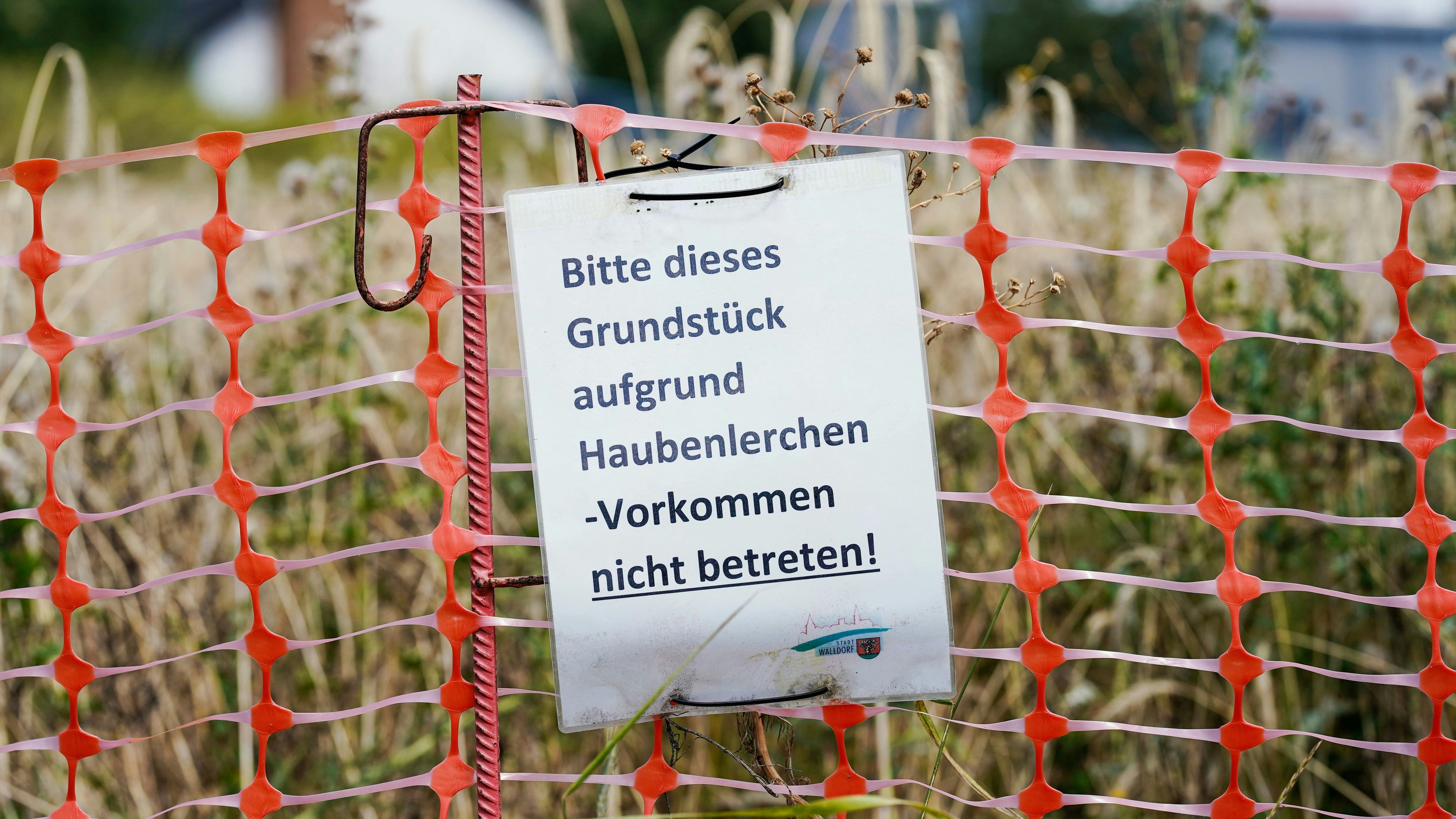 Die Ausgangssperre soll das Brutgebiet der Haubenlerchen beschützen.