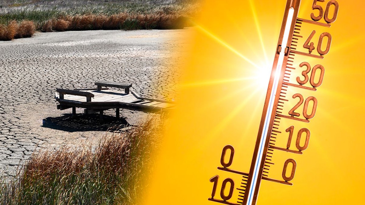 Heute.at - Zu heiß zum Arbeiten – Jetzt kommt die Hitze-App