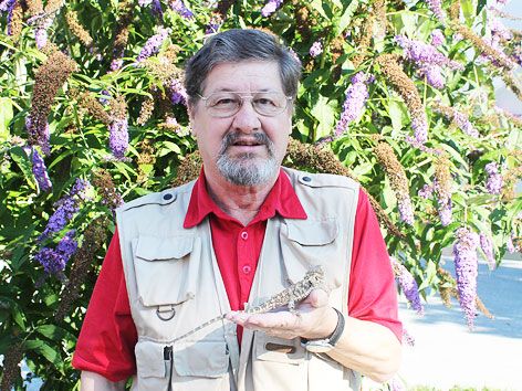 Schlangenexperte Hans Esterbauer