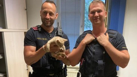 Samtpfote löste Unfall aus: Polizisten mit der geretteten Katze