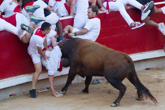 Bei den Stierläufen rennen Läufer vor und neben den Tieren her. Die umstrittene Tradition fordert jedes Jahr aufs Neue Verletzte.