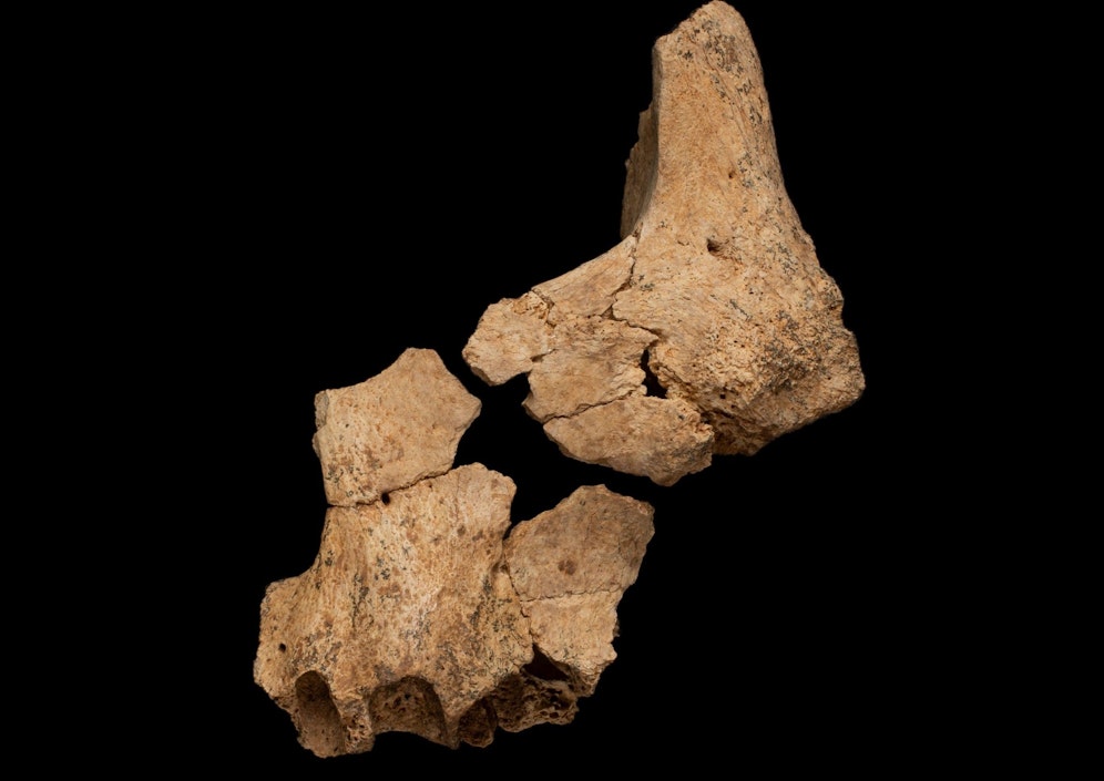 Die Datierung des Fundes dürfte nun zwischen sechs bis acht Monate beanspruchen.