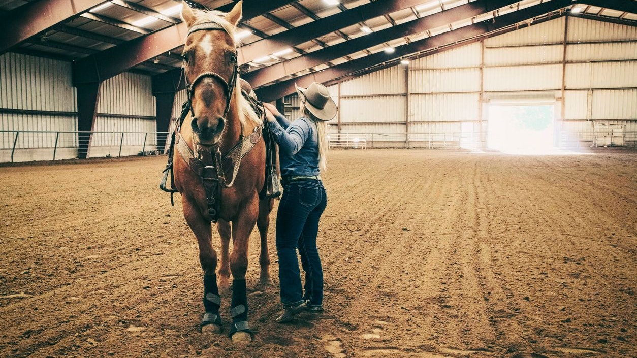 Der Reitunfall passierte in Birkfeld im Bezirk Weiz.