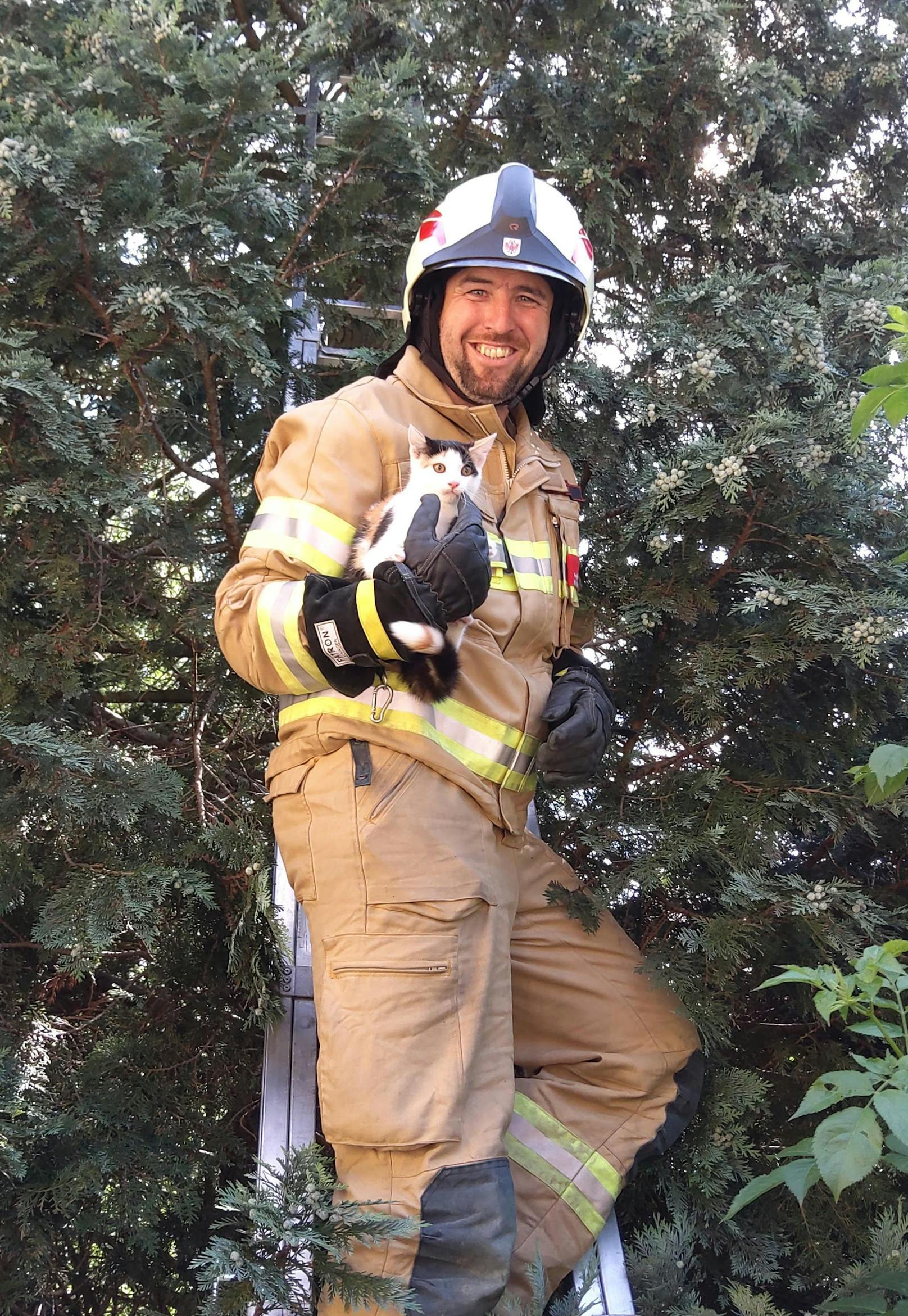 Dem Feuerwehrmann gelang es, beide Katzen unversehrt zu bergen.